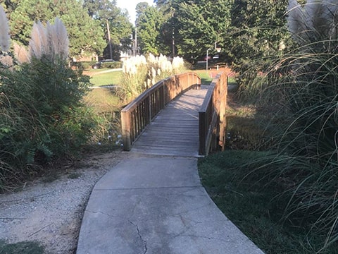 Photo of wooden bridge over a small creek.